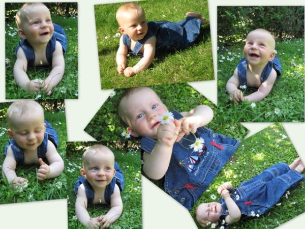 Bild zu