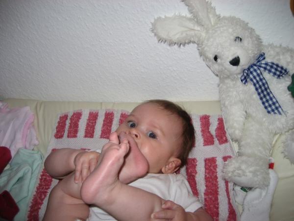 Bild zu