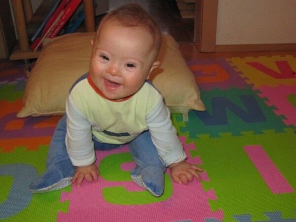 Bild zu