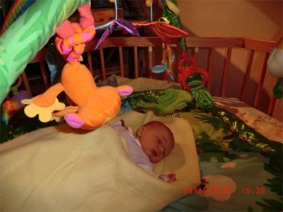Bild zu 
