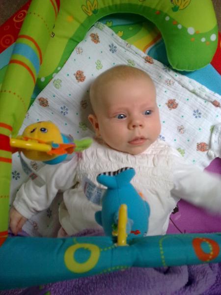 Bild zu 