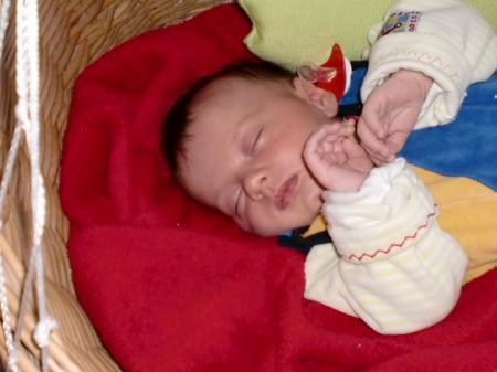 Bild zu