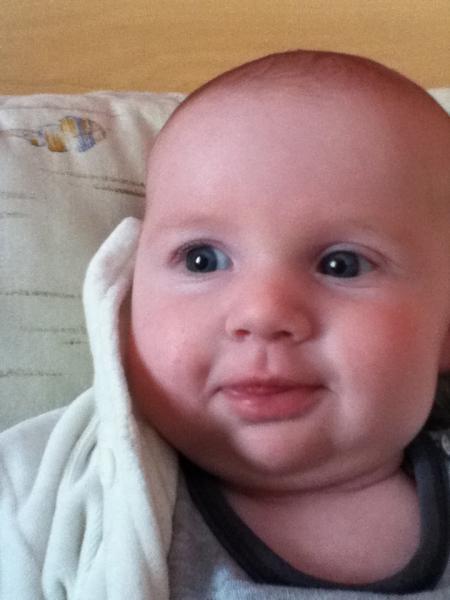 Bild zu