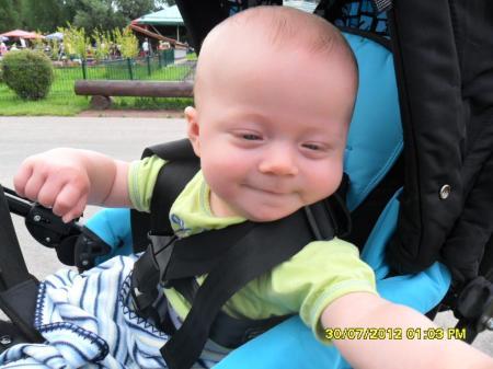 Bild zu