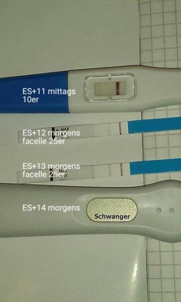 Bild zu Test-Reihe beendet - Schwanger mit 35 plus - Forum