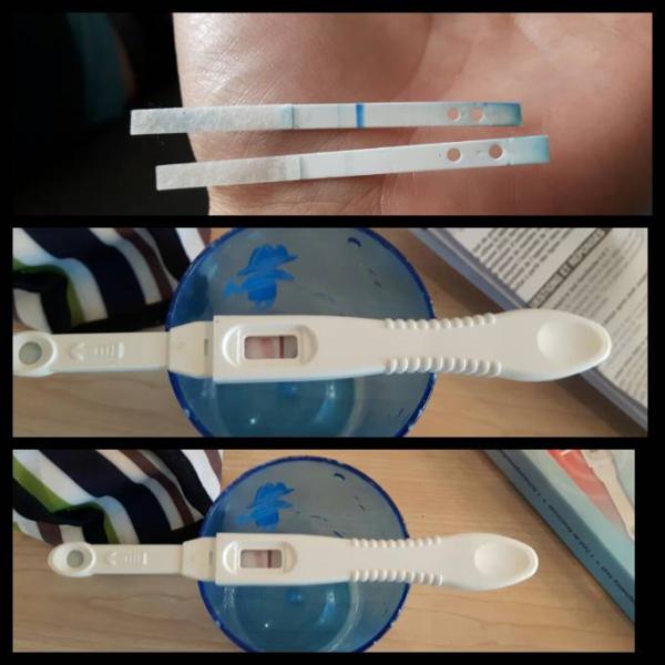 Bild zu Total irritiert was ist los???Schwanger??? - Schwanger mit 35 plus - Forum