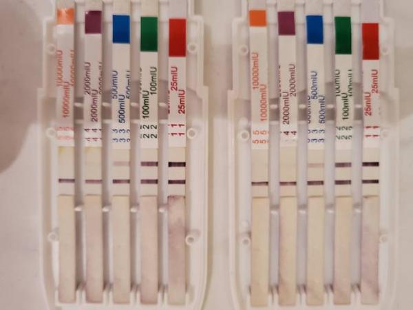 Bild zu Sorgen... - Schwanger mit 35 plus - Forum