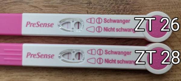 Bild zu Ganz vorsichtig hoffe ich auf eine Schwangerschaft... - Schwanger mit 35 plus - Forum