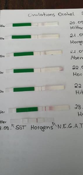 Bild zu Hilfe - Schwanger mit 35 plus - Forum