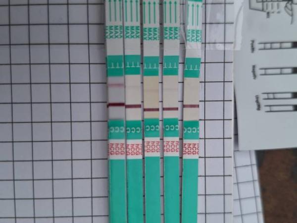 Bild zu Leichte blutung aber test gestiegen - Schwanger mit 35 plus - Forum