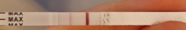 Bild zu Schwach positive Tests - Schwanger mit 35 plus - Forum