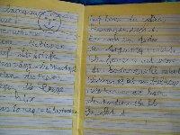 Bild zu Schriftbild... - Grundschule - Forum