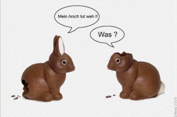 Bild zu Mir fällt noch etwas zur Osterhasendiskussion ein! - Grundschule - Forum