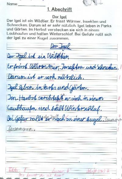 Bild zu Gibt es bei euch Form und Schriftnoten? - Grundschule - Forum