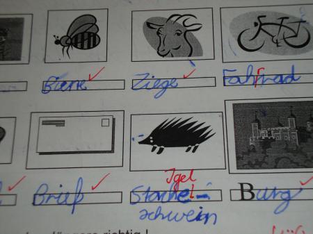 Bild zu