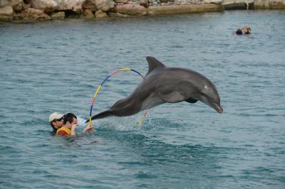 Bild zu meinen Männern gehts prächtig ! - Reisen, Reiseforum, Urlaub mit Kinder