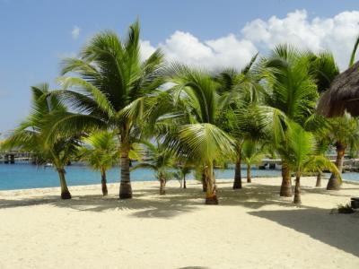 Bild zu Melde mich aus Florida zurück - Reisen, Reiseforum, Urlaub mit Kinder