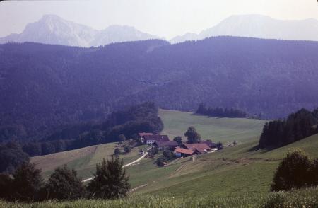 Bild zu 