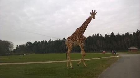Bild zu 