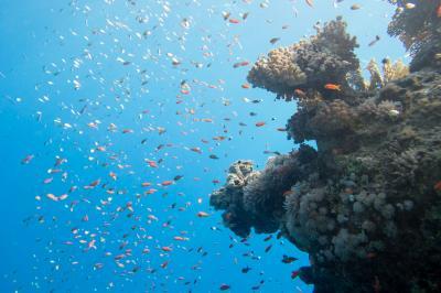 Bild zu Ich habs getan - Reisen, Reiseforum, Urlaub mit Kinder