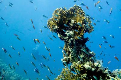 Bild zu so, nun wird Urlaub noch teurer - Reisen, Reiseforum, Urlaub mit Kinder