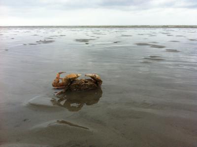 Bild zu LEIDER wieder daheim ! - Reisen, Reiseforum, Urlaub mit Kinder