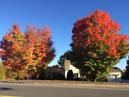 Bild zu Indian summer .... - Reisen, Reiseforum, Urlaub mit Kinder