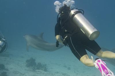 Bild zu Freu - und Kind wird sich erst freuen - Somemrurlaubsausflug gebucht... - Reisen, Reiseforum, Urlaub mit Kinder