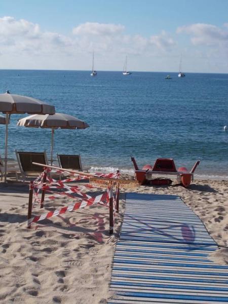 Bild zu Caretta Caretta Schildkoroete legt erstes Mal Eier auf Elba - Reisen, Reiseforum, Urlaub mit Kinder