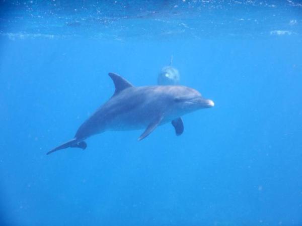 Bild zu Wieder zurück - leider - - Reisen, Reiseforum, Urlaub mit Kinder