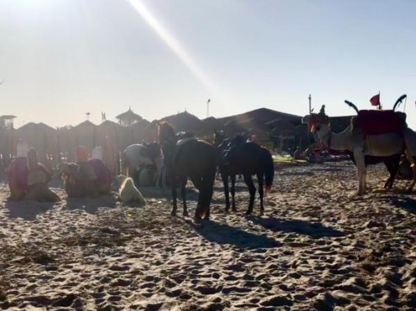 Bild zu Noch eine Runde „Wo bin ich?“ ;-) - Reisen, Reiseforum, Urlaub mit Kinder
