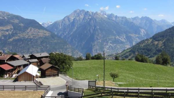 Bild zu