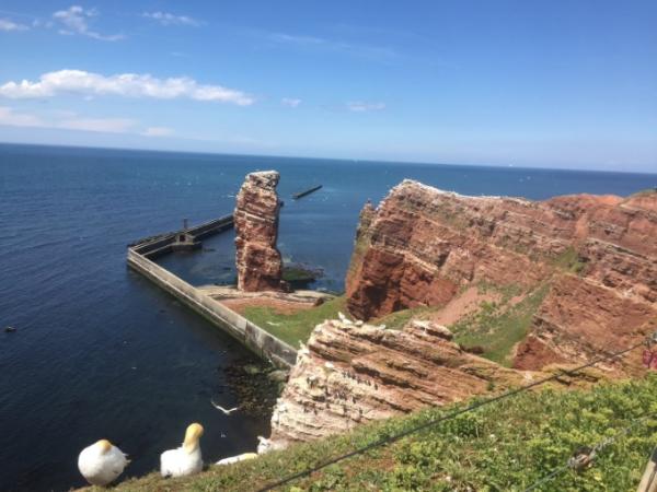 Bild zu Wir sind zuhause- nach Ausflug Helgoland - Reisen, Reiseforum, Urlaub mit Kinder