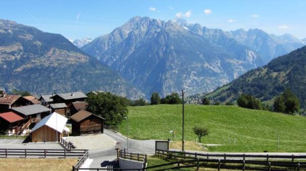 Bild zu