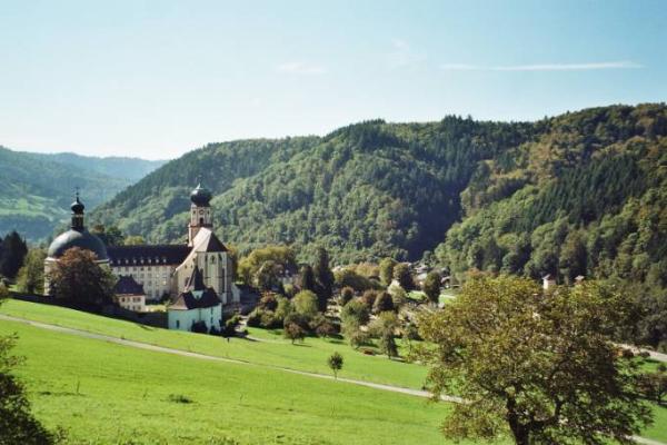 Bild zu