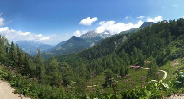 Bild zu 