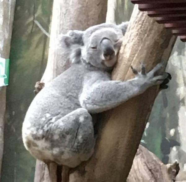 Bild zu zurück aus Leipzig - Reisen, Reiseforum, Urlaub mit Kinder