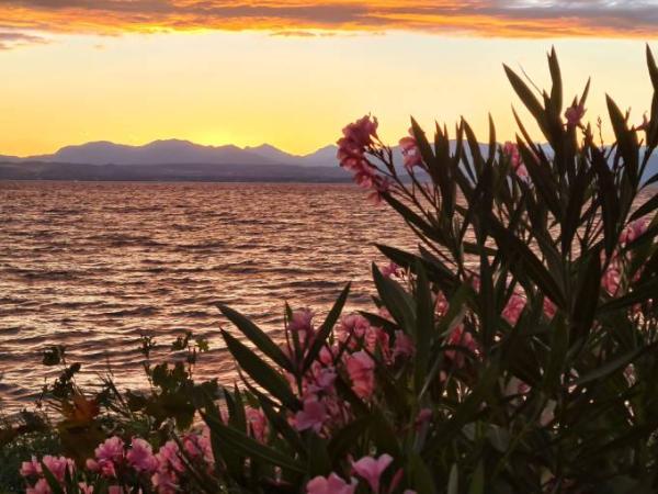 Bild zu Gardasee - Reisen, Reiseforum, Urlaub mit Kinder