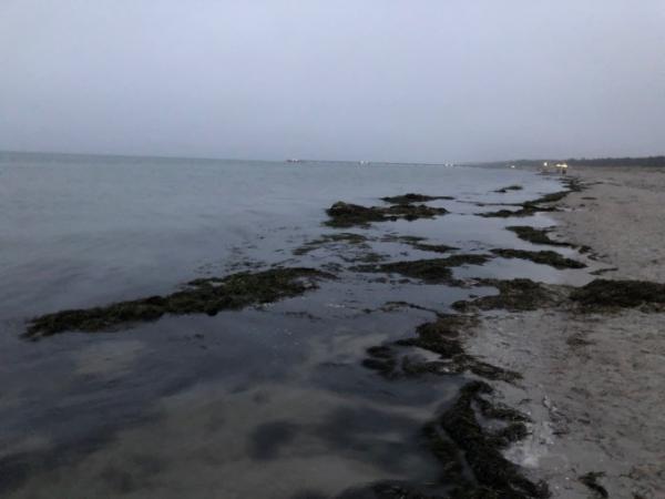 Bild zu Und wir sind vor vallie am meer - Reisen, Reiseforum, Urlaub mit Kinder