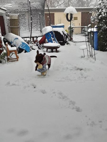 Bild zu 