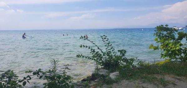 Bild zu