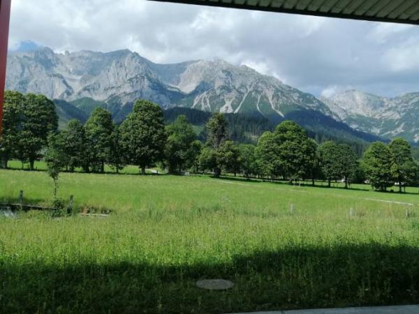 Bild zu Gerade in Österreich - Reisen, Reiseforum, Urlaub mit Kinder