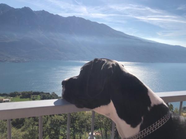 Bild zu Gardasee - Reisen, Reiseforum, Urlaub mit Kinder