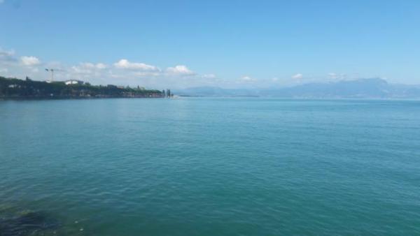 Bild zu