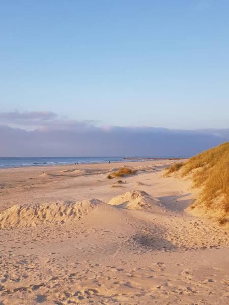 Bild zu Zurück aus Dänemark - und Ursels Mann hatte recht! - Reisen, Reiseforum, Urlaub mit Kinder