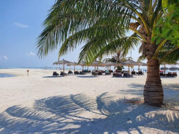 Bild zu Grüße aus dem Paradies - Reisen, Reiseforum, Urlaub mit Kinder