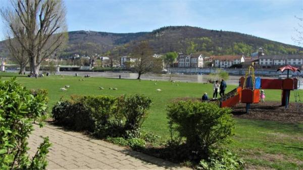 Bild zu