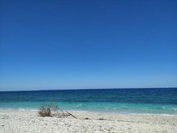 Bild zu capobianco ❤️ Elba - Reisen, Reiseforum, Urlaub mit Kinder