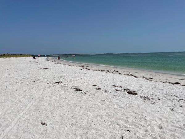 Bild zu Grüße aus Florida - Reisen, Reiseforum, Urlaub mit Kinder