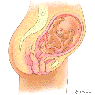 Entwicklung des Babys im 6. Monat